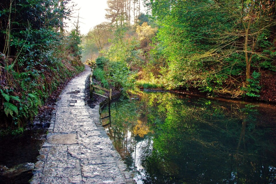 Yeovil Ninesprings Country Park wooded valley walk, Yeovil