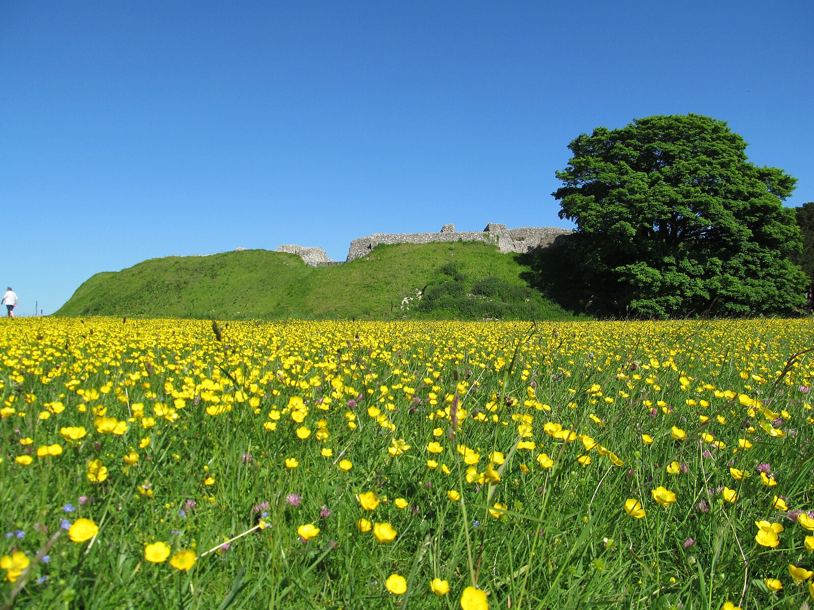 Old Sarum
